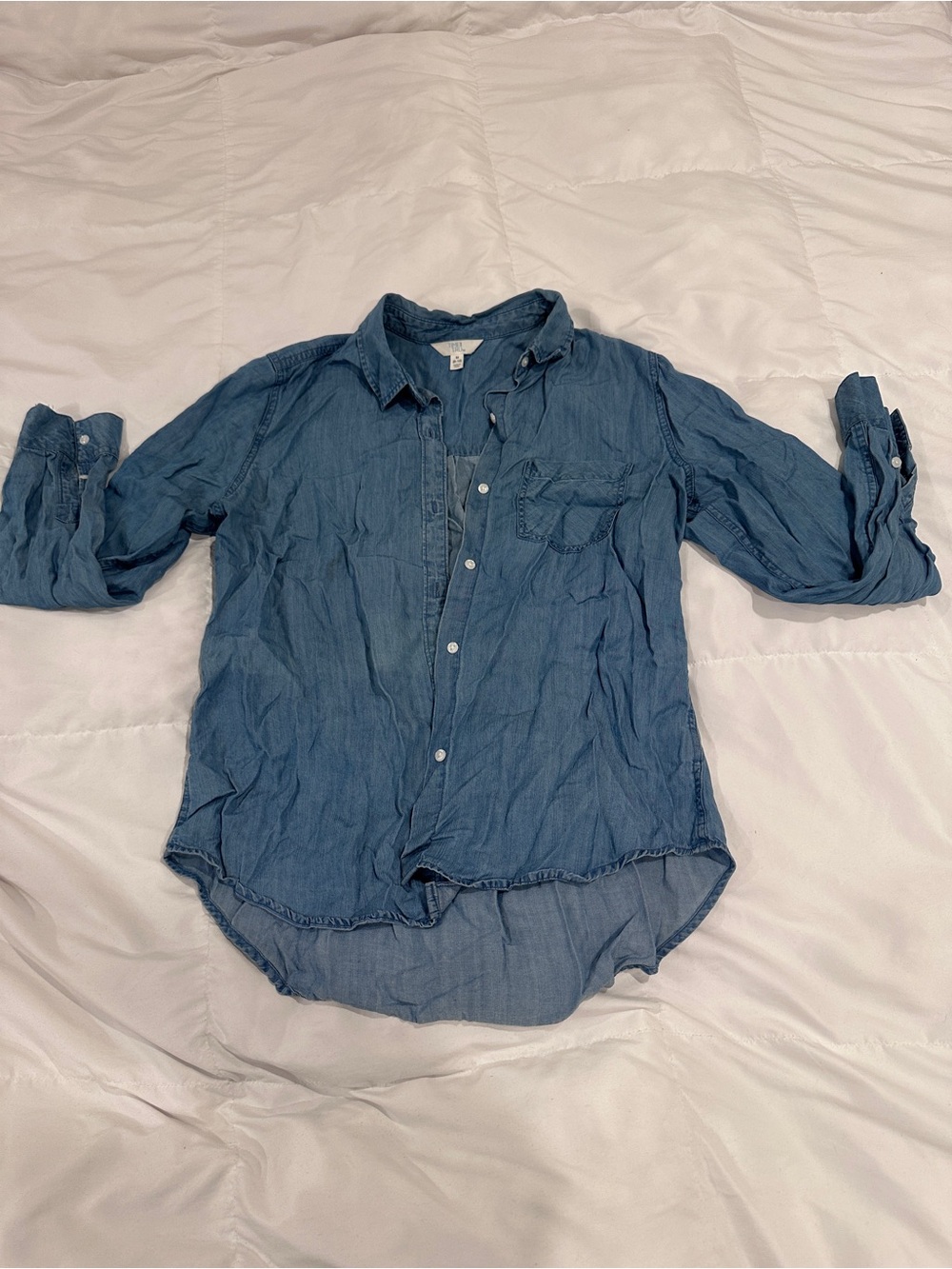 Time and Tru Men's Blue Casual Button-Down Shirt